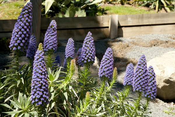 Guide ultime pour dénicher l'entreprise de déménagement longue distance idéale