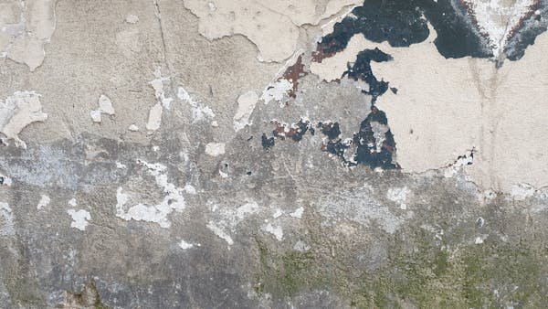 Optimisez votre maison avec un traitement humidité adapté